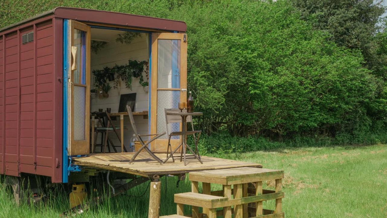 Quirky Vintage Horsebox Conversion With Stunning Views Of Ardingly Reservoir 발콤 외부 사진